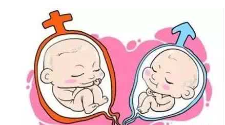 体外受精 IVF-ET
